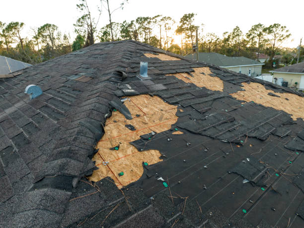 Best Chimney Flashing Repair  in Carrollton, OH